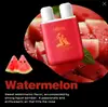 Tk Popular Internacionalmente Palo Nasal Succionador de Doble Agujero Inglés, Palo de Energía Energizante y Refrescante, Palo Nasal de Aceite Refrescante y Revitalizante para la Fatiga