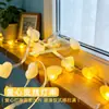 Luces de Cadena de Bolas con Forma de Corazón Coloridas Blanco Lechoso Transfronterizas para Montaje de Escenas, Luces de Hadas para Decoración de Jardín de Navidad