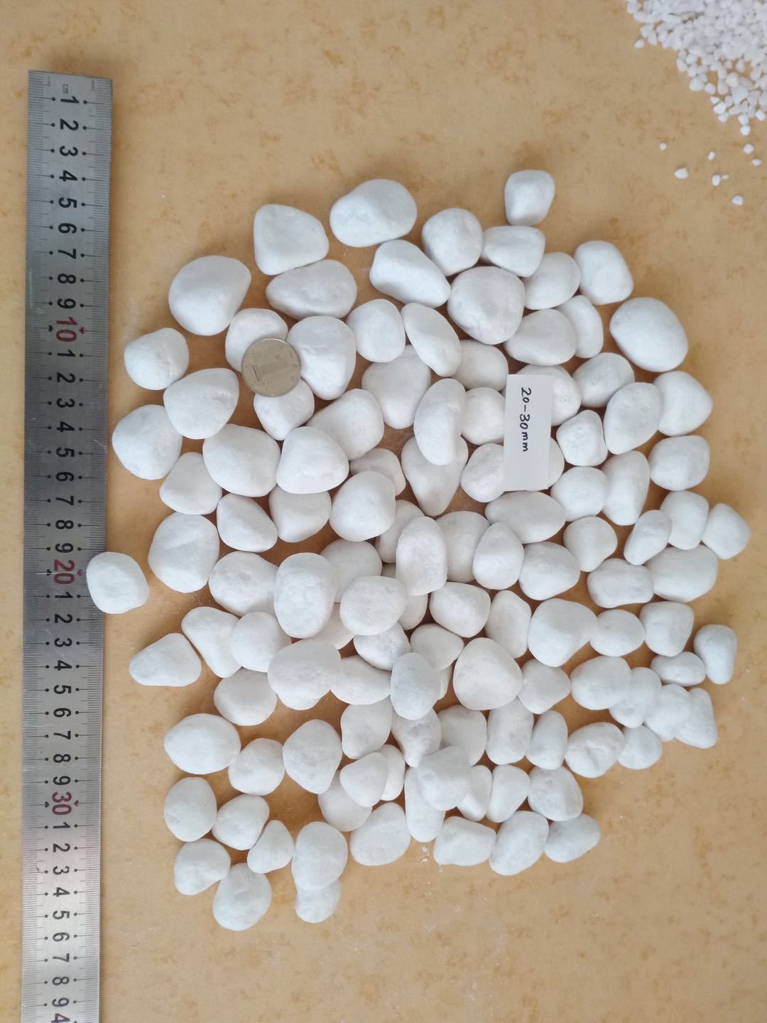 29b01bcc4550d1a1fa0a328f8dcd74