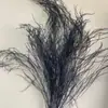 Grama Barba de Dragão Eterna Pendurada Arroz Decoração de Casa Pendurada na Parede Planta de Rattan Decoração de Casamento Grama Aspargo Grama Pena Grama Barba de Dragão
