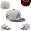 2024 novo boné de beisebol de comércio exterior Yankees aba larga aba redonda masculino e feminino totalmente fechado não ajustável bordado boné de tamanho