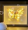 Pacote de material de concha do mar DIY igual ao do TikTok Cobertura de vidro Luz noturna de concha Decoração de presente criativo para quarto e cabeceira