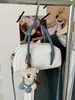 Bolsos de nicho de alta gama 2026 nuevo de moda ultra populares exquisito bandolera para el día a día bolso cruzado simple moderno