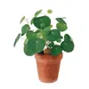 Plantas Suculentas para Paisajismo, Plantas Verdes Redondas de Hoja para Maceta Tortuga de Montaña, Bonsái de Escritorio Hidropónico, Plantas Trepadoras para Patio