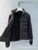 Versión Alta "Shenzhen Nanyou" Chaqueta de Algodón Patchwork Ropa de Abrigo Rejuvenecedora Versátil Otoño/Invierno Nueva Chaqueta Ligera Ropa de Abrigo