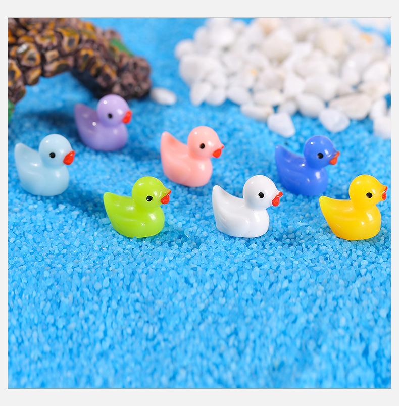 彩色小鸭_07