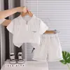 Conjunto Casual de Verão para Meninos Novo Estilo para Crianças Pequenas, Conjunto de Duas Peças de Verão com Manga Curta Tendência Estiloso Manga Curta Atacado
