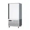Congelador Rápido Comercial Congelación Rápida Baja Temperatura -45 C Refrigerador Pepino de Mar Pescado Camarones Bollo Relleno al Vapor Congelador Congelador