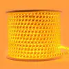 Tira de luz led techo sala de estar colorida control remoto cambio de color inteligente exterior impermeable 5050 color brillante tira de luz color RGB