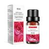 Cross-border 10ml solúvel em água umidificador aromaterapia óleo essencial aromaterapia óleo lavanda rosa aromaterapia óleo essencial fábrica atacado