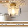 Entrada Francesa Lustre Pequeno de Cabeceira Lâmpada de Corredor Lâmpada de Entrada Lustre de Pérolas e Penas Lâmpada de Corredor Lâmpada de Cozinha e Banheiro Lâmpadas
