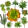 Simulación planta suculenta súper grande tamaño pequeño suculenta bonsái planta verde flor de plástico en maceta micro paisaje con pared vegetal