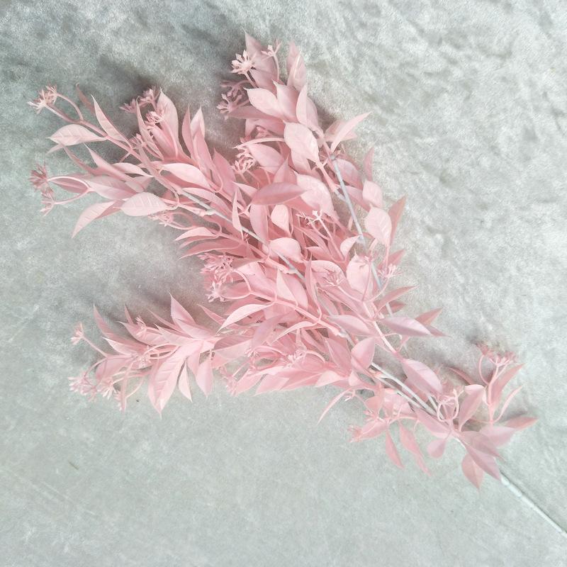 水芙蓉2号浅粉