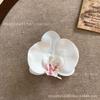 Cabeza de Flor de Phalaenopsis de Película Artificial Impresa en 3D Horquilla para el Cabello de Celebridad de Internet Souvenir de Boda Caja de Dulces de Boda Flores Falsas Decoradas a Mano