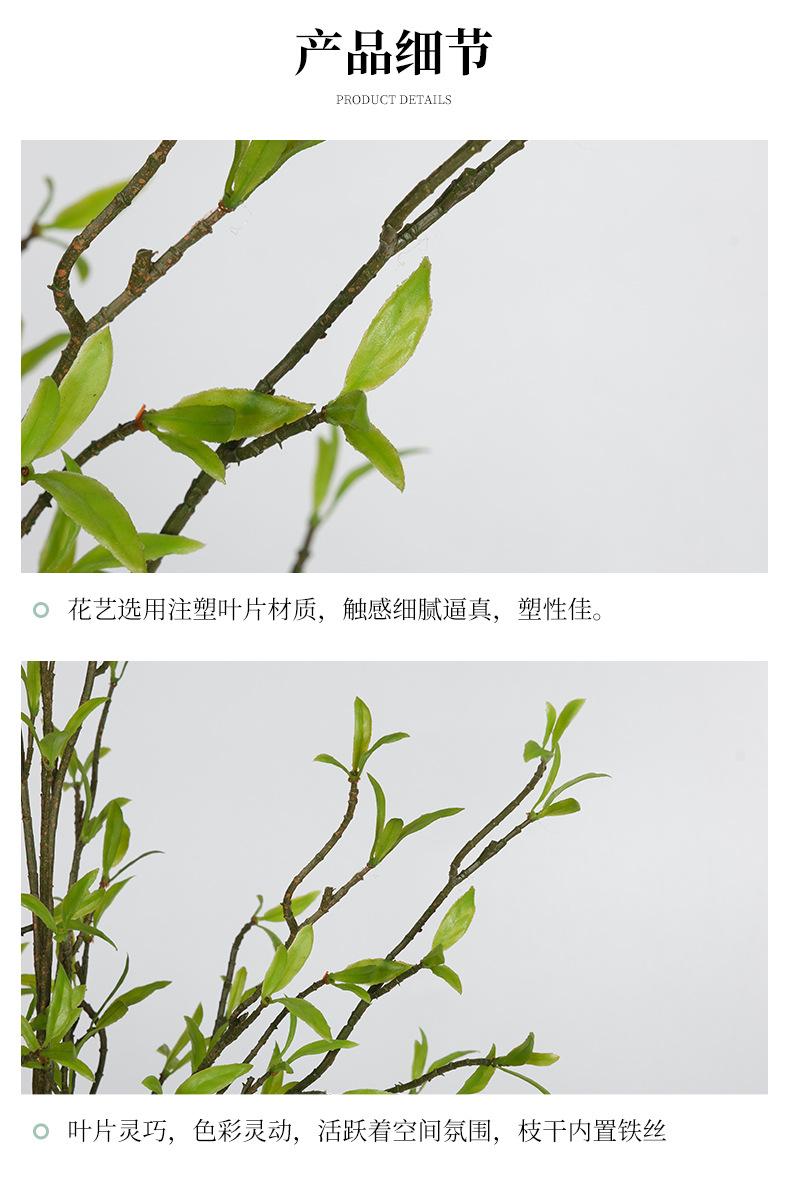 详情页改版_12.jpg