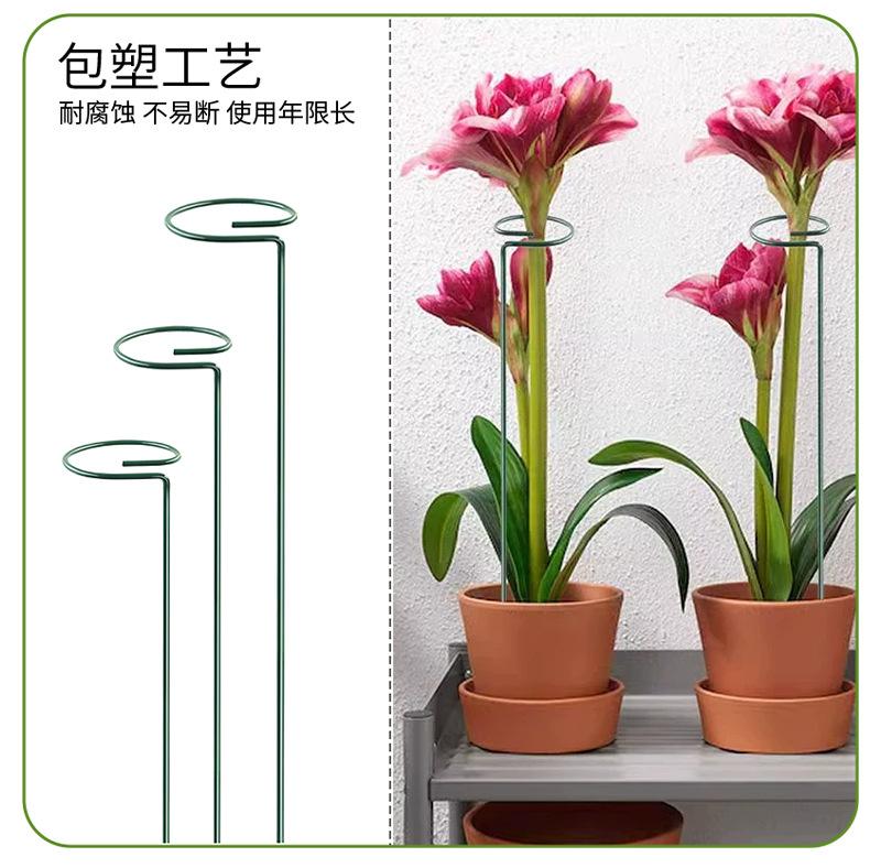 详情_06