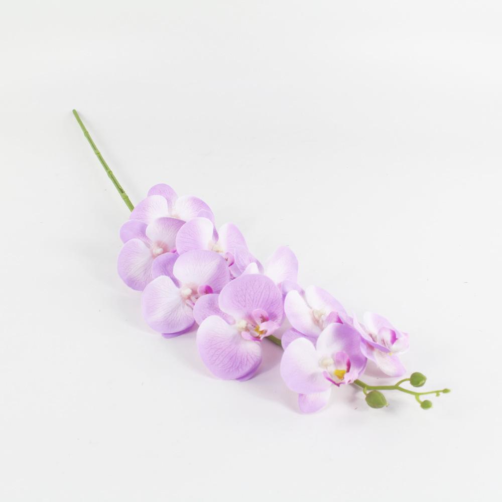 12742512723_717949217