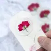 Pegatinas de Sellos de Cera Serie Flores Secas, Cinta de Doble Cara con Diseños de Gipsofila y Planta de Rosa, Etiquetas de Sello de Cera con Flores Secas