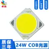 Suministro de Fuente de Luz Integrada Cob de 24W Serie 1917 24 2 en Paralelo 300mA Alta Brillo Cuentas de Luz Cob Fuente de Luz de Alta Potencia