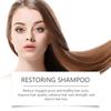 Eelhoe Champú Suavizante de Cuidado Térmico Tratamiento para el Cabello para Cabello Seco, Áspero y Encrespado Champú Suave y Brillante