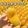 Novos Blocos de Construção de Batata Amarela Brinquedo de Apertar Brinquedo de Alívio de Tensão Blocos de Construção Redondos Bola Feita à Mão Aperte Rangente