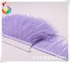 Suministros del Fabricante Recorte de Plumas de Avestruz, Recorte para Ropa de Plumas Importado de Sudáfrica, A partir de 00710m Piezas, Recorte Ancho de Encaje