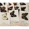 Especímenes Tridimensionales de Mariposas e Insectos Reales para la Educación Científica Infantil en Jardines de Infancia, con Alas Extendidas, Diseño de Estilo Fotográfico 1