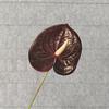 Simulación Anthurium Flor de Simulación Boda Flor Falsa Arreglo de Boda Decoración de Lujo Ligero para Sala de Estar en Casa Arreglo Floral Arreglo Floral Adornos Ramo de Flores flor