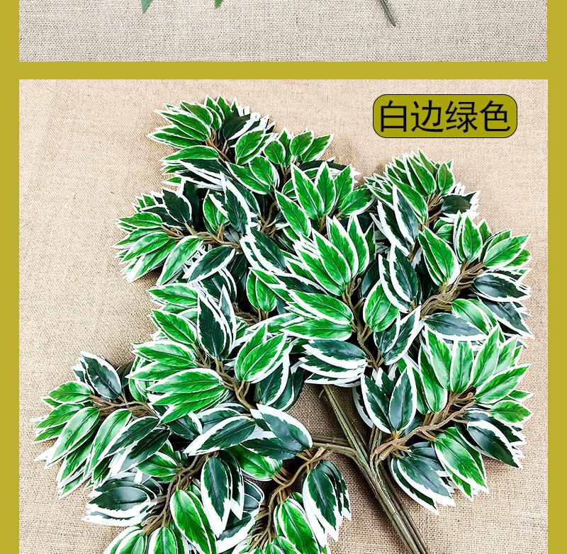 详情8.jpg
