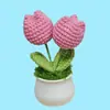 Plantas Pequeñas Tejidas a Crochet Hechas a Mano Transfronterizas, Adornos de Escritorio Tejidos con Hilo, Regalos Decorativos, Macetas de Flores Eternas al por Mayor