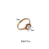 Anillo Simple de Acero de Titanio para Mujer Circonita Romana Diseño Nicho Lujo Ligero Anillo para Pareja Popular en Internet Anillo de Moda Joyería de Moda
