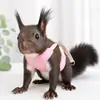 Arnés para ardilla, marmota, conejo, suricata, chinchilla, hurón, cobaya, correa desmontable anti-escape