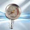 Manómetro de diafragma de acero inoxidable con conexión de brida roscada, tipo sanitario, resistente a golpes y con diafragma resistente a la corrosión