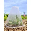 Cobertura de Sino Quente e Isolante Proteção contra Geada para Mudas Proteção contra Insetos e Pássaros Cobertura Quente para Mudas de Plantas Agrícolas Domésticas