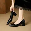 Sapatos femininos rasos versáteis de bico fino, elegantes e estilosos, para o trabalho, primavera e outono de 2026, novos sapatos de trabalho com saltos grossos que não cansam os pés.