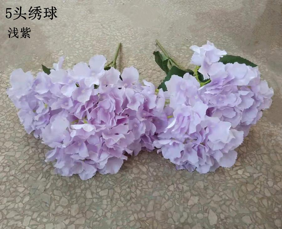 5头绣球紫色
