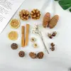 Paquete de Materiales para Creación de Entorno de Jardín de Infancia Fruta Natural Bellota Piña Cono Accesorios de Fotografía Decoración Hecha a Mano DIY Fruta Cáscara de Fruta