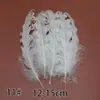 Acessórios para Joias DIY de Pena Branca Pena Branca Pena de Casamento Pena de Ganso Pena de Peru Acessórios Decorativos