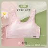 Ropa interior tipo tubo, transpirable, sin costuras, con pecho envuelto, para chica estudiante, camisola base, sujetador de espalda de belleza antiexposición, de verano