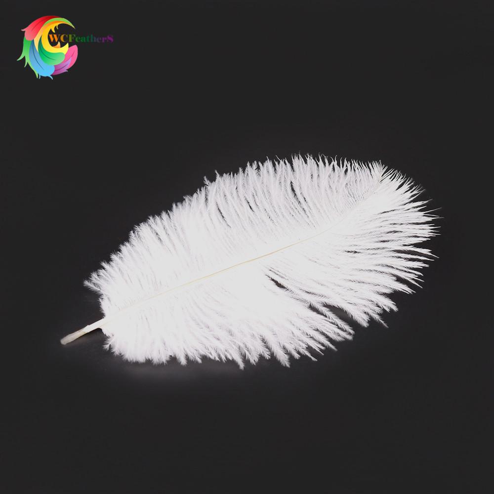 1 white ostrich feather 2