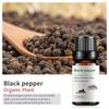 Exportación Transfronteriza Aceite Esencial Individual Fragancia Aromaterapia Masaje Aceite Esencial Sándalo Difusor Mayoreo Muestra de 10 ml