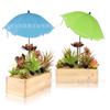 Sombrilla Popular Transfronteriza para Plantas de Amazon, Flor en Maceta, Sombrilla de Protección Solar, Aislada, Sombrilla de Protección para Plantas de Exterior en el Suelo