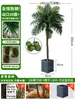 Grande Palmeira Areca Simulada Planta Tropical Coqueiro Planta Verde Biônica de Interior Árvore Falsa Atmosfera Paisagismo Ornamentos em Vaso