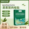 Parche para Pies Herbal Aiyiluo Evodia Canela Multisabor Parche Tibio de Moxibustión Parche para Pies para Dormir Una Pieza Venta al por Mayor desde el Fabricante