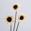 Arte de Crisantemo Holandés Hecho a Mano Materiales de Flores Secas, Plantas, Flores Artificiales Eternas, Artículos Decorativos, Accesorios para Fotos, Flores al por Mayor