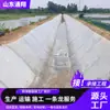 Fabricante de Esterilla de Cemento de Alta Resistencia, Protección de Taludes Fluviales, Esterilla de Fibra de Concreto Curado al Agua, Fabricante de Esterilla Compuesta de Cemento