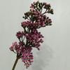 Ramas de acacia de 13 cabezas, modelo de sala de estar para el hogar, decoración de habitación, accesorios de fotografía de boda, fotografía, plantas nórdicas ins