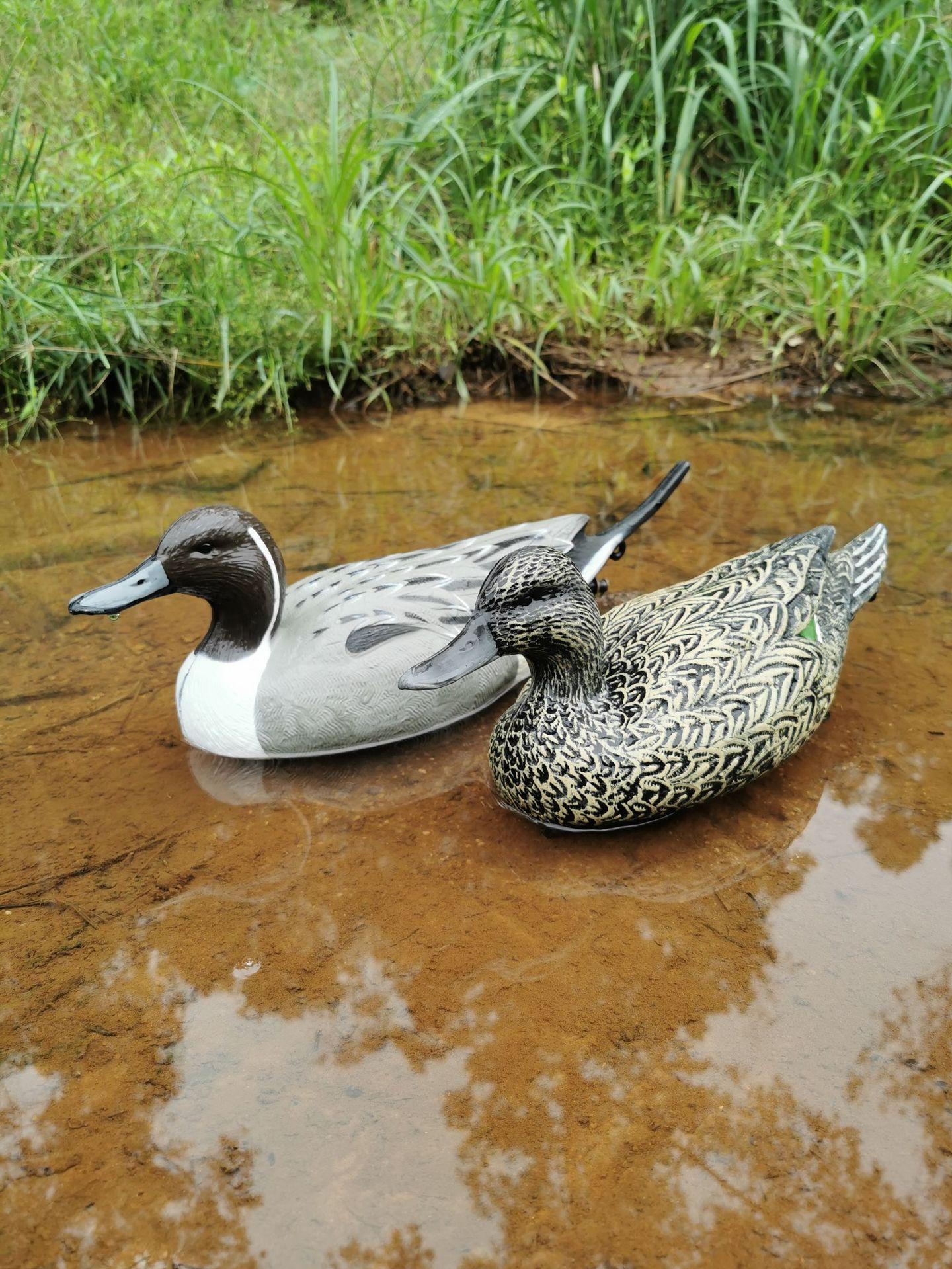 41e188c8bb963f93d9598a9077022c