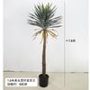 Planta Verde Artificial en Maceta Árbol Sangre de Dragón de Hoja Estrecha, Agave, Árbol de Yuca, Cola de Caballo Aguja de Hierro Girasol, Árbol de Hierro Decoración de Ventana