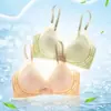 Roupa íntima fina sem costura de verão, sutiã bonito nas costas, copo pequeno fresco e fixo, push-up, sem aro, sutiã de suporte esportivo para mulheres